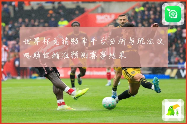世界杯竞猜赔率平台分析与玩法攻略助你精准预测赛事结果