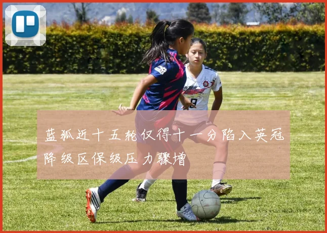 蓝狐近十五轮仅得十一分陷入英冠降级区保级压力骤增