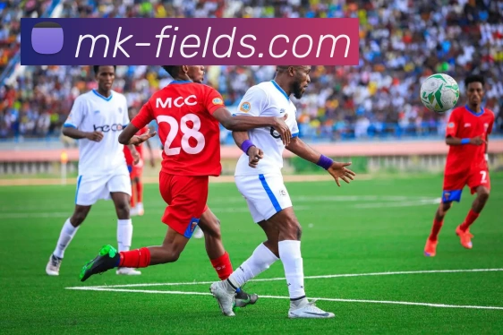 MK体育平台展示图