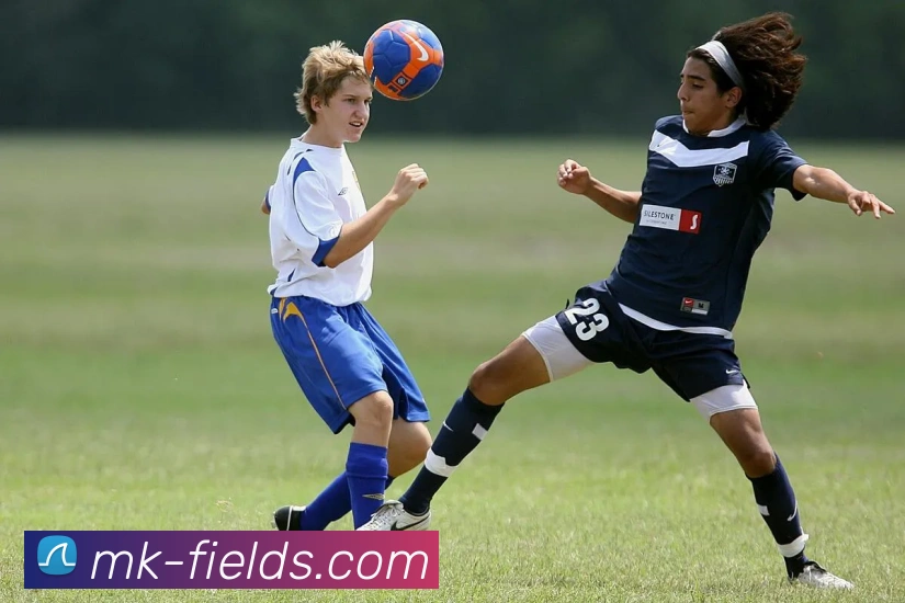 MK体育注册全攻略：新手快速注册与安全使用详解